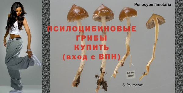 мяу мяу мука Вязьма