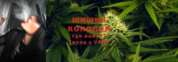 мяу мяу мука Вязьма