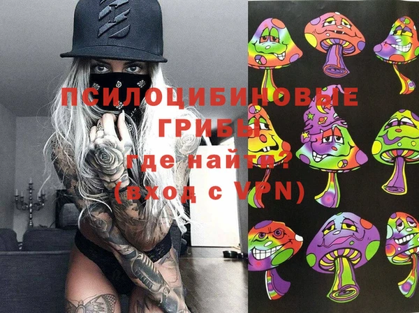 мяу мяу мука Вязьма